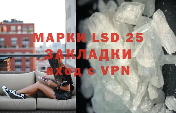 прущие грибы Аркадак
