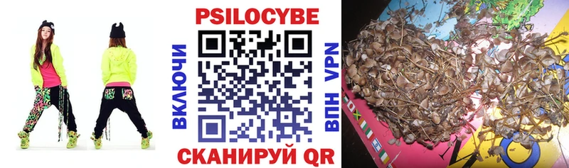 площадка наркотические препараты Ржев Псилоцибиновые грибы GOLDEN TEACHER где можно купить